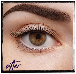 LVL Lash Perming additional image